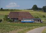 059-7/815609/das-blaue-baehnli-bde-44-38 Das Blaue Bhnli BDe 4/4 38 fernab der Heimat am Lffelhof beim Bahnhof Lohn-Lterkofen. Juni 2023.