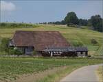 Das Pendler-Pintli Bre 4/4 1001 am unteren Lffelhof beim Bahnhof Lohn-Lterkofen.