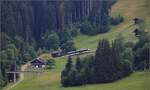 Zwei Triebköpfe der MOB ABe/Be 4/4 mit einem Panoramazug erklimmen die Rampe von Zweisimmen nach Saanenmöser. Blankenburg, Juli 2023.