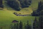 Zwei Triebköpfe der MOB ABe/Be 4/4 mit einem Panoramazug erklimmen die Rampe von Zweisimmen nach Saanenmöser. Blankenburg, Juli 2023.