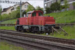 Am 841 013 der Lokpool AG am Ende der Werksbahngleise der Zuckerfabrik Frauenfeld. April 2024.