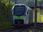 S-Bahn-Mika RABe 528 212 kommt in Langnau an.