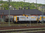 293 509 der SGL im Betriebswerk Würzburg.