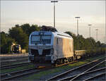 248 061 von Rheincargo in Rheinfelden.
