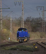 Der einzige Sonnenstrahl an diesem Tag in Duisburg trifft 275 007 von Railflex.