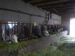 (211'376) - Khe im Stall am 16.