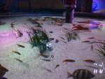 (190'409) - Im Sea Life am 19.
