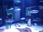 (190'415) - Im Sea Life am 19.
