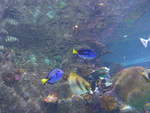 (190'420) - Im Sea Life am 19.
