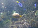 (190'421) - Im Sea Life am 19.