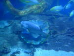 (190'440) - Im Sea Life am 19.