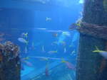 (190'446) - Im Sea Life am 19.