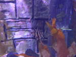 (190'466) - Im Sea Life am 19.