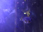 (190'469) - Im Sea Life am 19.