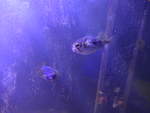 (190'470) - Im Sea Life am 19.