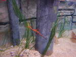 (190'465) - Im Sea Life am 19.