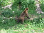 (181'563) - Br im Jurapark am 25.