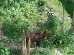 (181'564) - Br im Jurapark am 25.