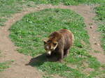 (181'567) - Br im Jurapark am 25.