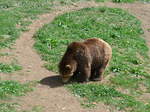 (181'568) - Br im Jurapark am 25.
