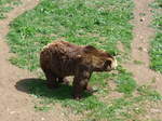 (181'570) - Br im Jurapark am 25.