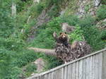 (181'573) - Br im Jurapark am 25.