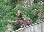 (181'574) - Br im Jurapark am 25.