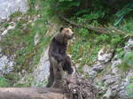 (181'579) - Br im Jurapark am 25.