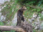 (181'580) - Br im Jurapark am 25.