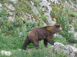 (181'582) - Br im Jurapark am 25.