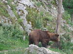(181'583) - Br im Jurapark am 25.