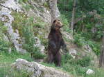 (181'584) - Br im Jurapark am 25.
