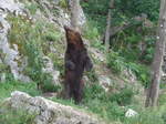 (181'585) - Br im Jurapark am 25.