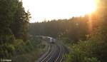 761 005-9 mit einem Elbtal Umleiter Containerzug im Wald bei Unterthölau.