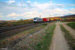 187 512 mit einem Containerzug bei Wettelsheim in Richtung Ansbach.23.03.24